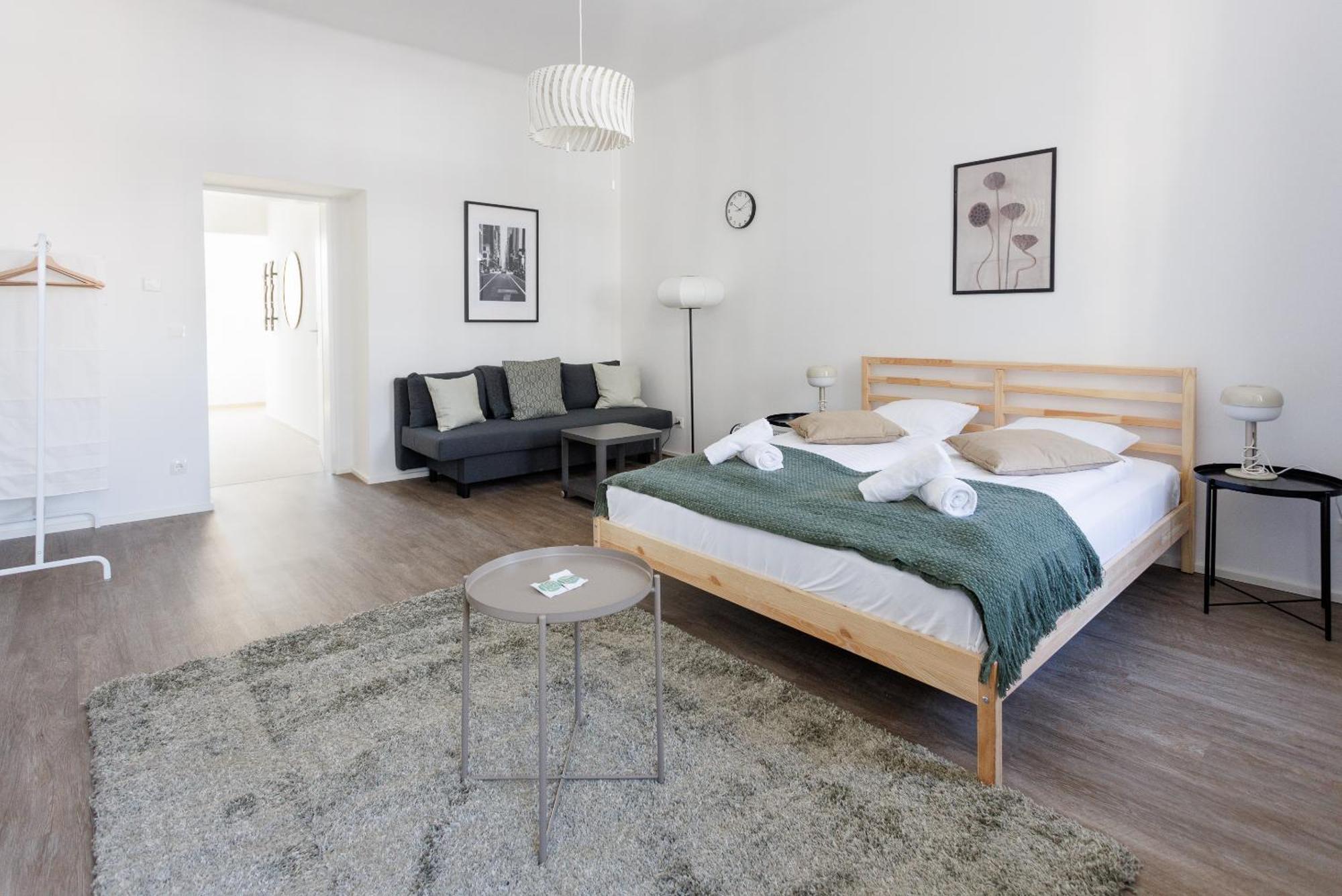 Grosszuegiges City-apartment Apartment
